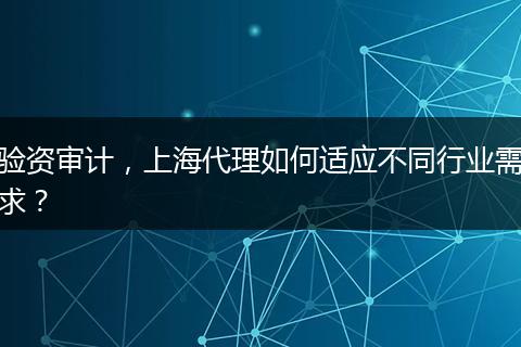 验资审计,上海代理如何适应不同行业需求?
