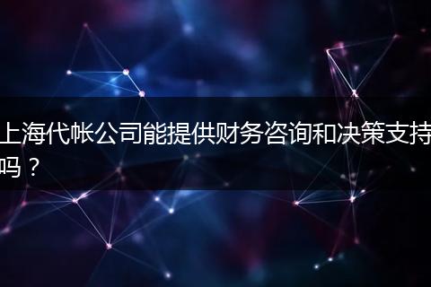 上海代帐公司能提供财务咨询和决策支持吗?