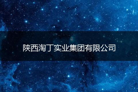 陕西淘丁实业集团有限公司