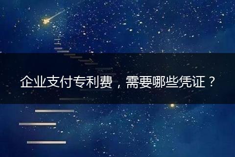 企业支付专利费,需要哪些凭证?