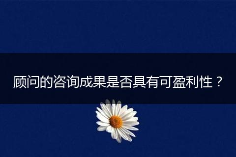 顾问的咨询成果是否具有可盈利性?