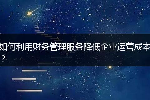 如何利用财务管理服务降低企业运营成本？