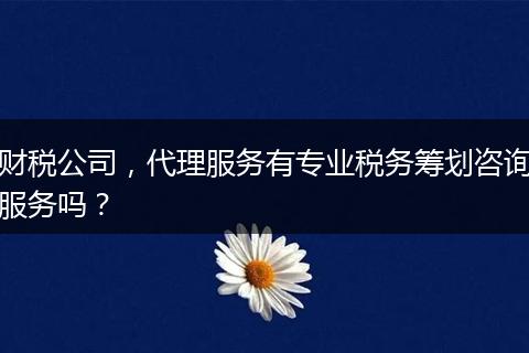 财税公司,代理服务有专业税务筹划咨询服务吗?