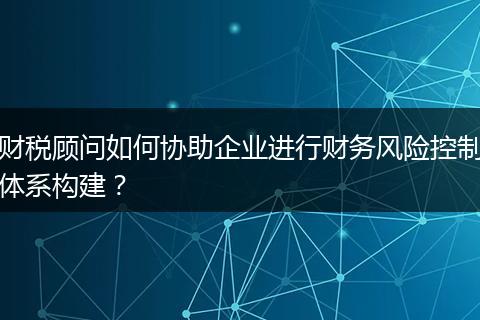 财税顾问如何协助企业进行财务风险控制体系构建?