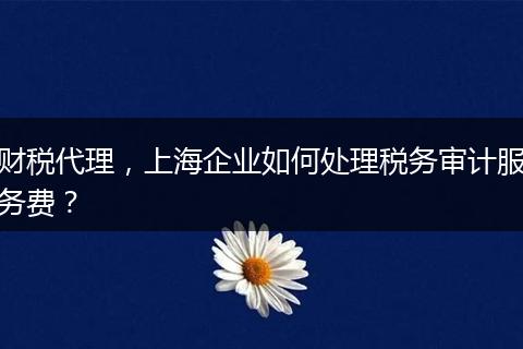 财税代理,上海企业如何处理税务审计服务费?