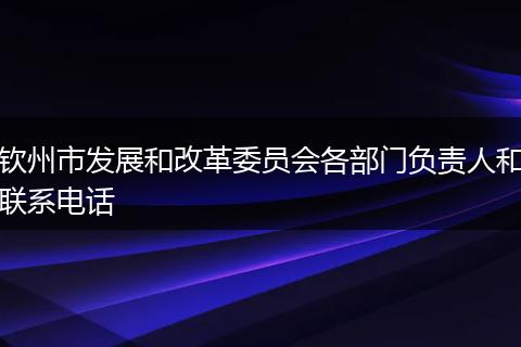 钦州市发展和改革委员会各部门负责人和联系电话
