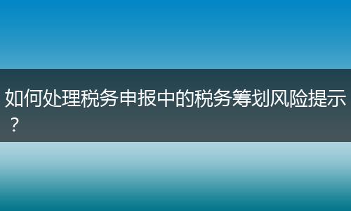 如何处理税务申报中的税务筹划风险提示?