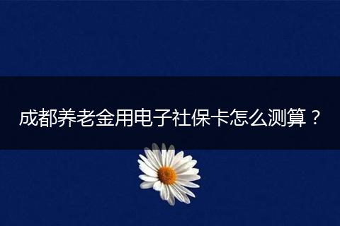 成都养老金用电子社保卡怎么测算？
