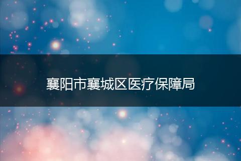 襄阳市襄城区医疗保障局
