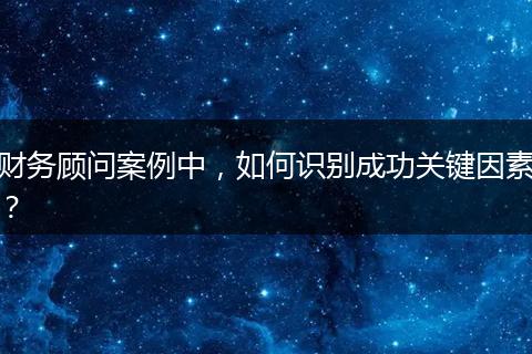 财务顾问案例中,如何识别成功关键因素?
