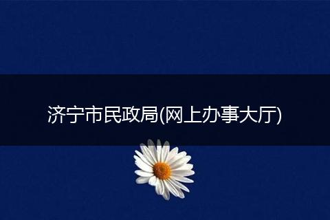 济宁市民政局(网上办事大厅)