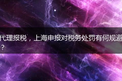 代理报税,上海申报对税务处罚有何规避?