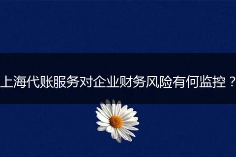 上海代账服务对企业财务风险有何监控?