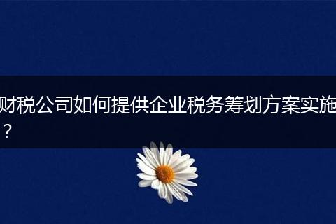 财税公司如何提供企业税务筹划方案实施?