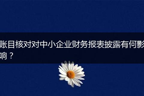 账目核对对中小企业财务报表披露有何影响?