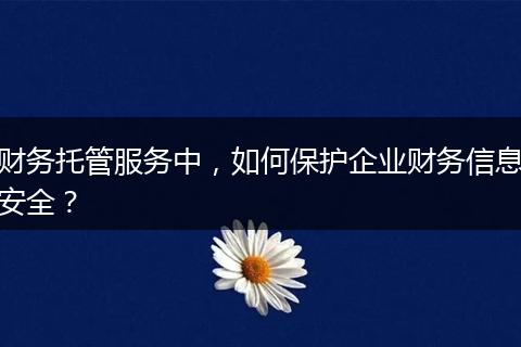 财务托管服务中,如何保护企业财务信息安全?