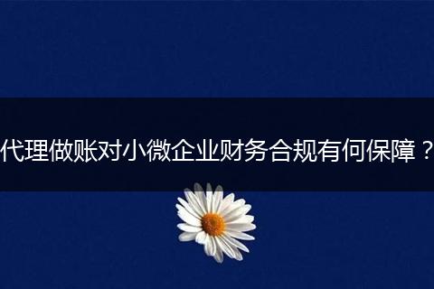 代理做账对小微企业财务合规有何保障?