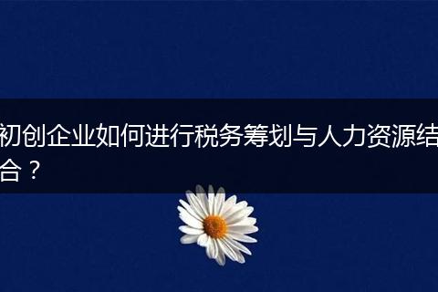 初创企业如何进行税务筹划与人力资源结合?