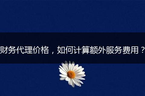 财务代理价格,如何计算额外服务费用?