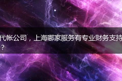代帐公司,上海哪家服务有专业财务支持?