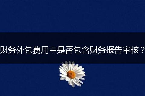 财务外包费用中是否包含财务报告审核?