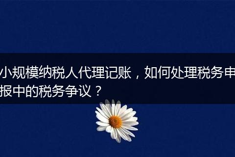 小规模纳税人代理记账,如何处理税务申报中的税务争议?