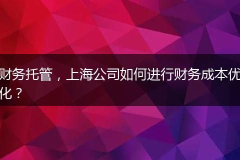 财务托管,上海公司如何进行财务成本优化?