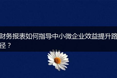 财务报表如何指导中小微企业效益提升路径?