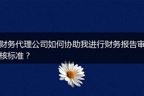 财务代理公司如何协助我进行财务报告审核标准?