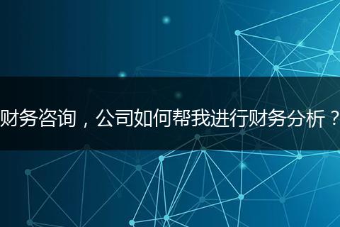 财务咨询,公司如何帮我进行财务分析?