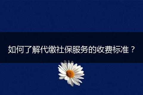 如何了解代缴社保服务的收费标准?