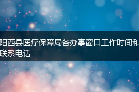 阳西县医疗保障局各办事窗口工作时间和联系电话