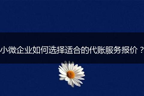 小微企业如何选择适合的代账服务报价？