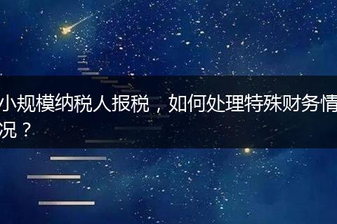 小规模纳税人报税,如何处理特殊财务情况?