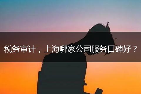 税务审计,上海哪家公司服务口碑好?