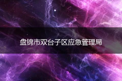 盘锦市双台子区应急管理局