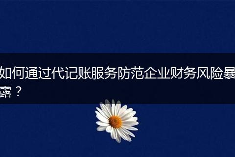 如何通过代记账服务防范企业财务风险暴露?