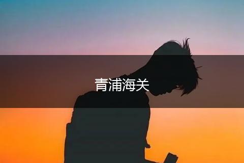 青浦海关
