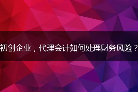 初创企业，代理会计如何处理财务风险？