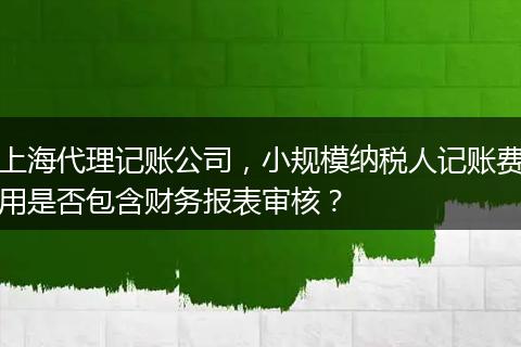 上海代理记账公司,小规模纳税人记账费用是否包含财务报表审核?