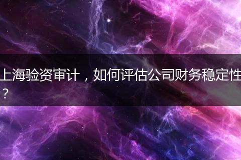 上海验资审计,如何评估公司财务稳定性?
