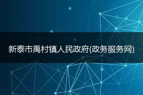新泰市禹村镇人民政府(政务服务网)