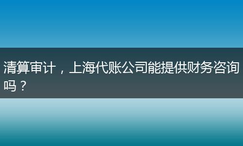 清算审计,上海代账公司能提供财务咨询吗?