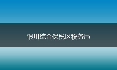 银川综合保税区税务局