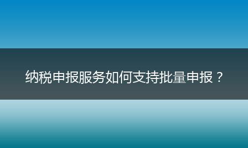 纳税申报服务如何支持批量申报?