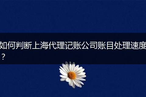 如何判断上海代理记账公司账目处理速度?