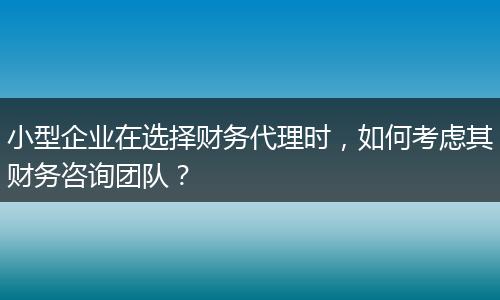 小型企业在选择财务代理时,如何考虑其财务咨询团队?