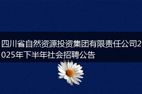 四川省自然资源投资集团有限责任公司2025年下半年社会招聘公告