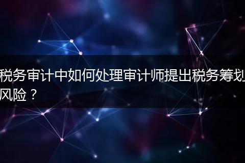 税务审计中如何处理审计师提出税务筹划风险?