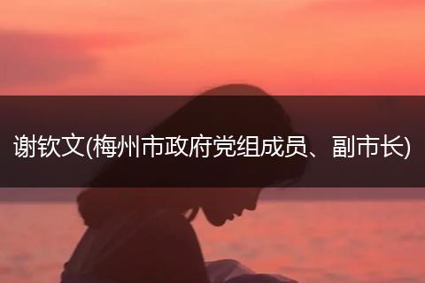 谢钦文(梅州市政府党组成员、副市长)